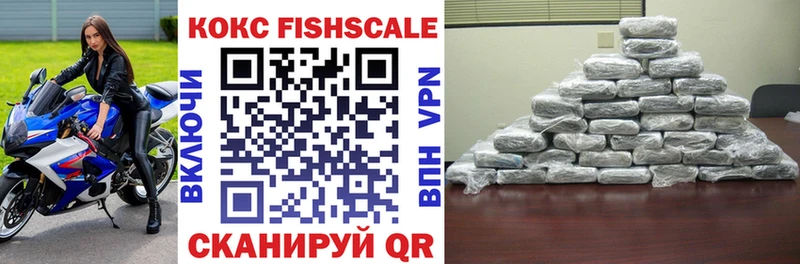 COCAIN Fish Scale  купить наркотик  hydra зеркало  Правдинск 