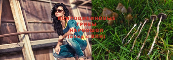 синтетический гашиш Осинники