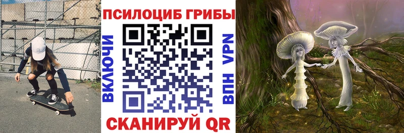 магазин продажи   Правдинск  Галлюциногенные грибы GOLDEN TEACHER 