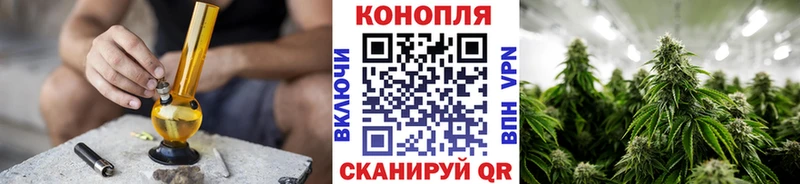 цена   это наркотические препараты  Бошки Шишки планчик  Правдинск 